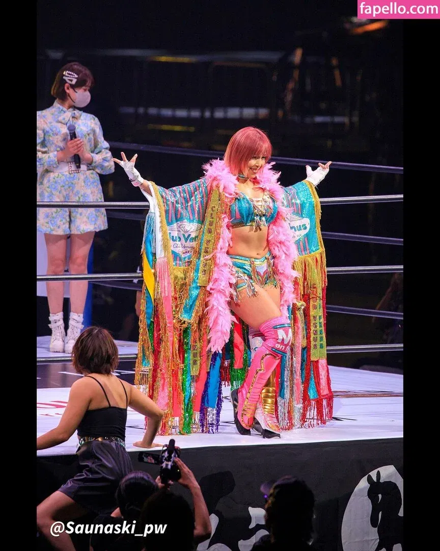 Mina Shirakawa Onlyfans Photo Gallery 