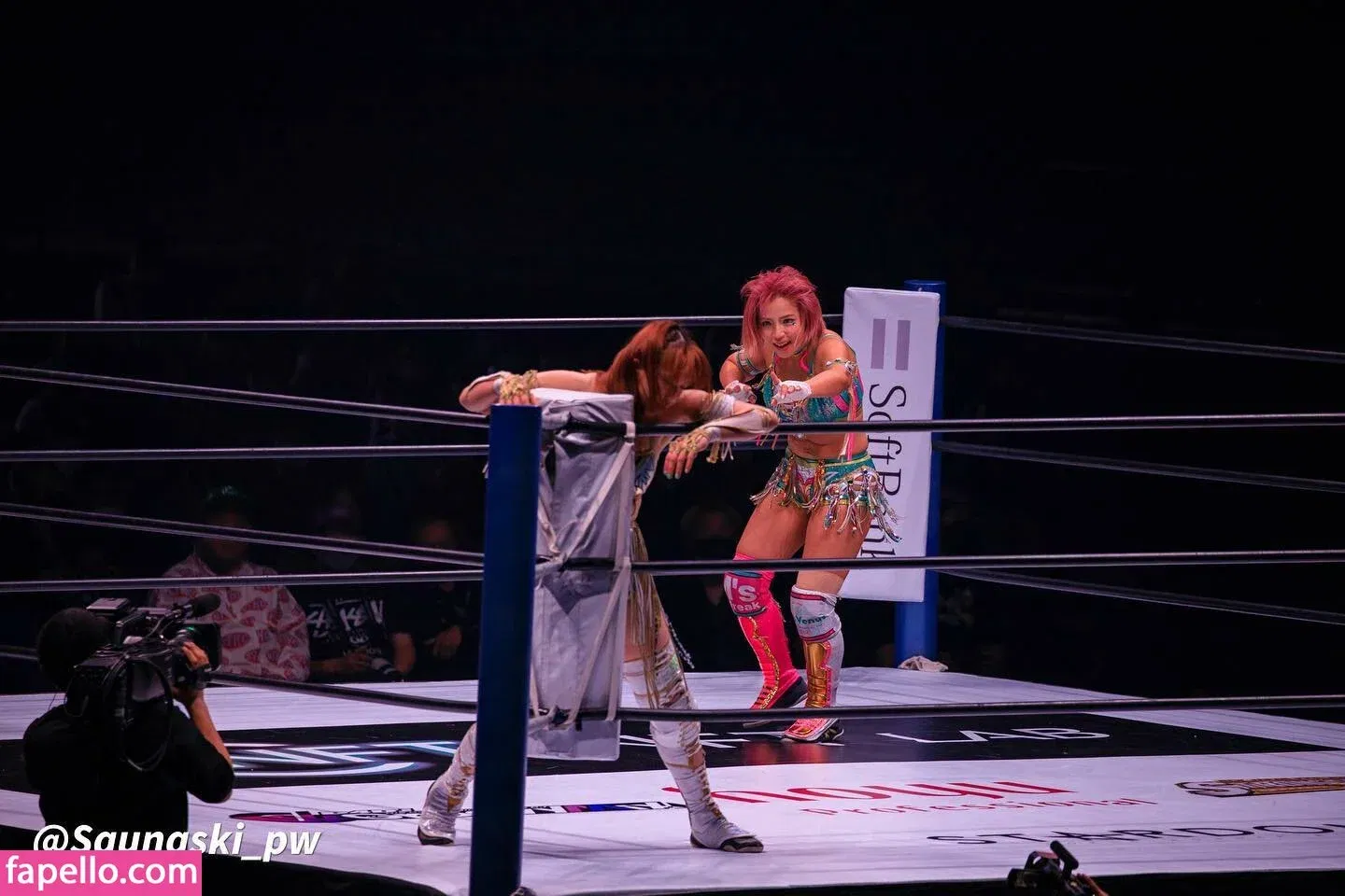 Mina Shirakawa Onlyfans Photo Gallery 