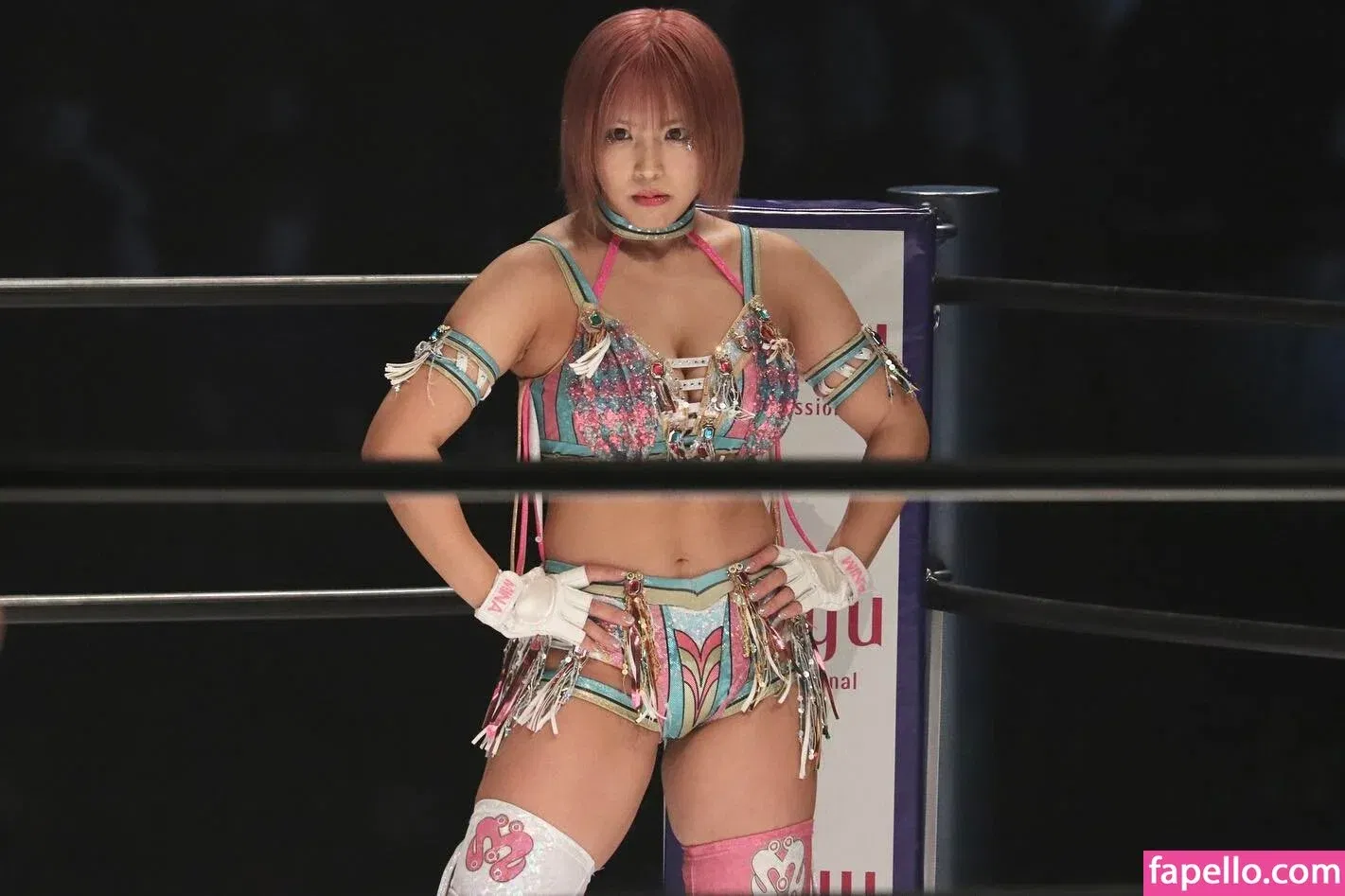 Mina Shirakawa Onlyfans Photo Gallery 