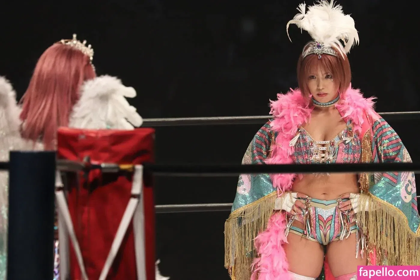 Mina Shirakawa Onlyfans Photo Gallery 