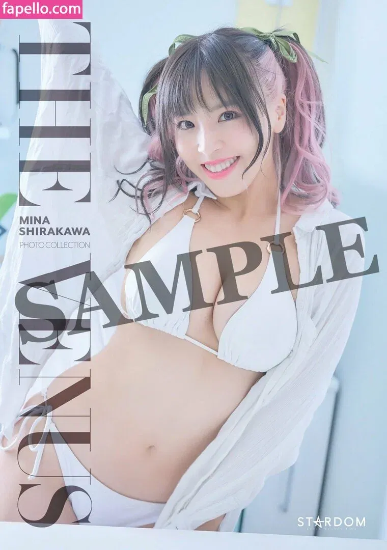 Mina Shirakawa Onlyfans Photo Gallery 