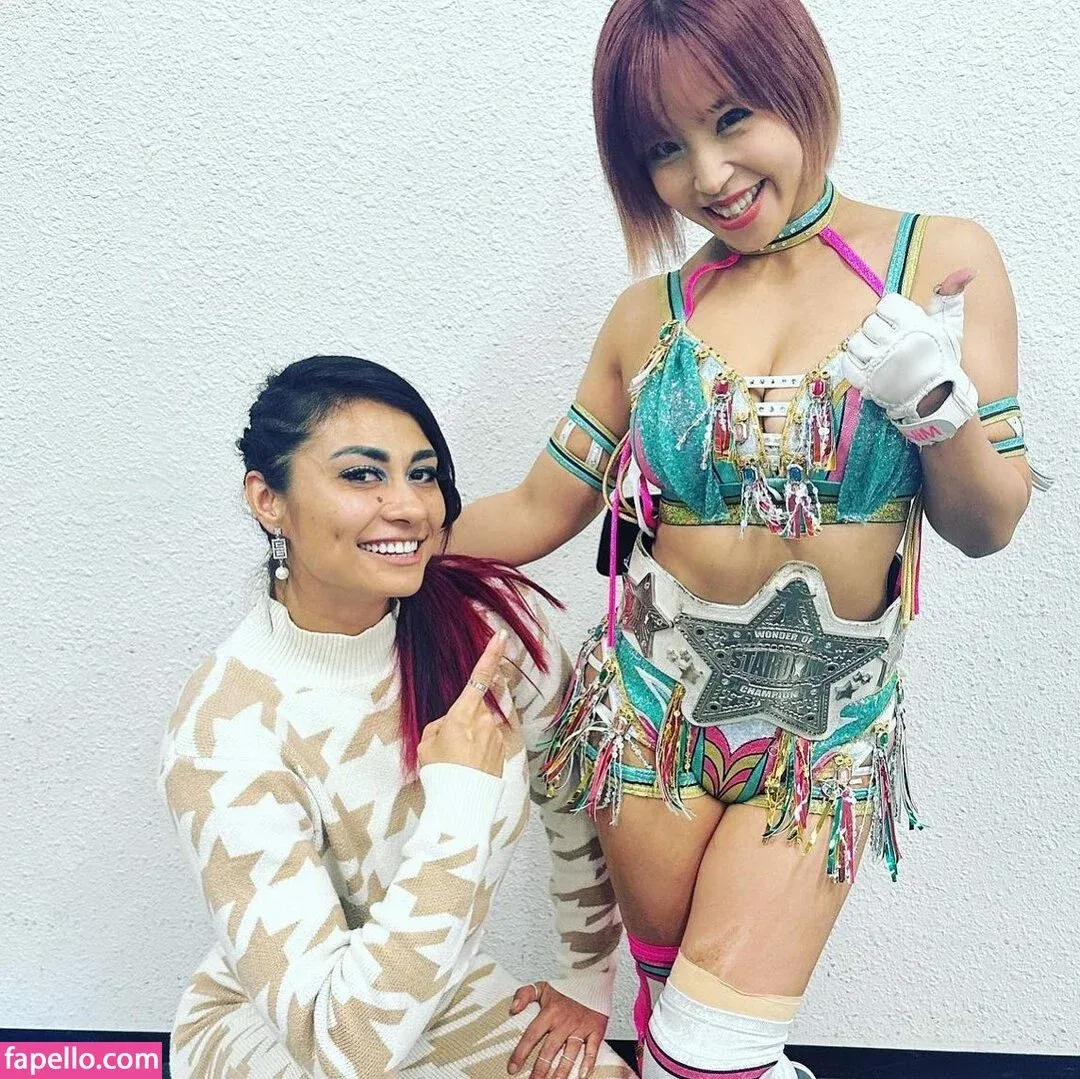 Mina Shirakawa Onlyfans Photo Gallery 