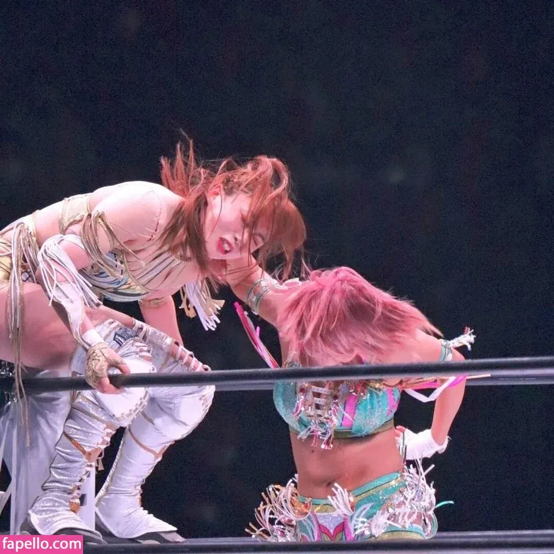 Mina Shirakawa Onlyfans Photo Gallery 