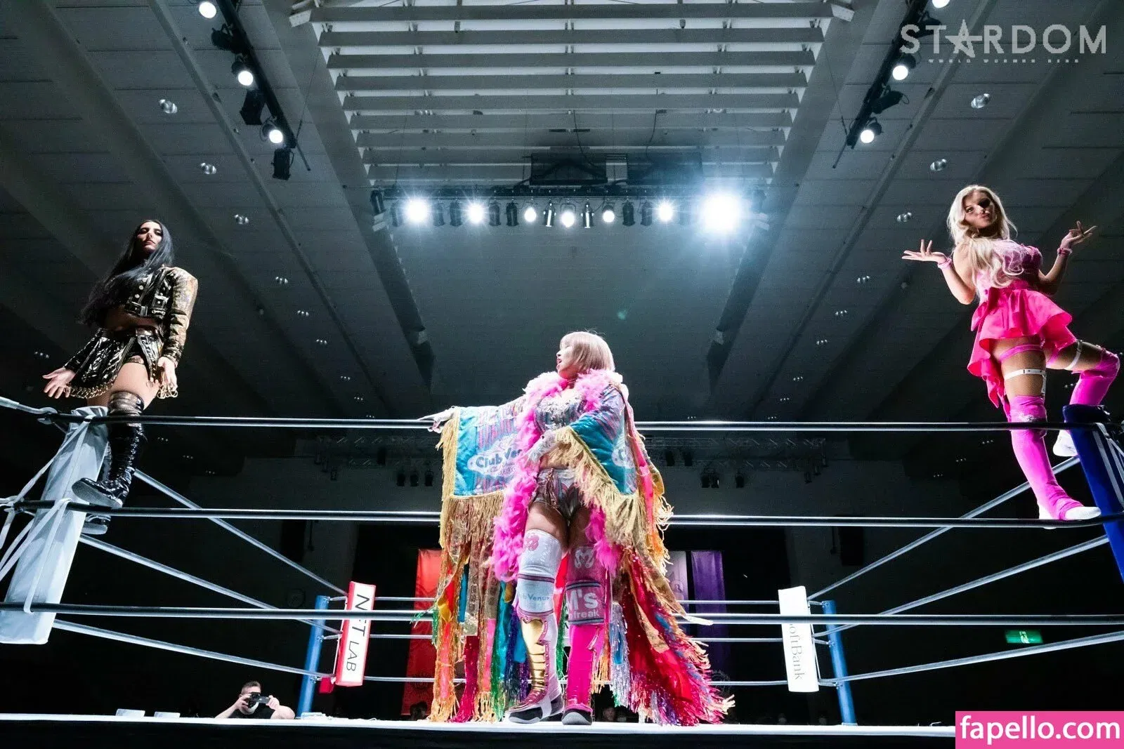 Mina Shirakawa Onlyfans Photo Gallery 