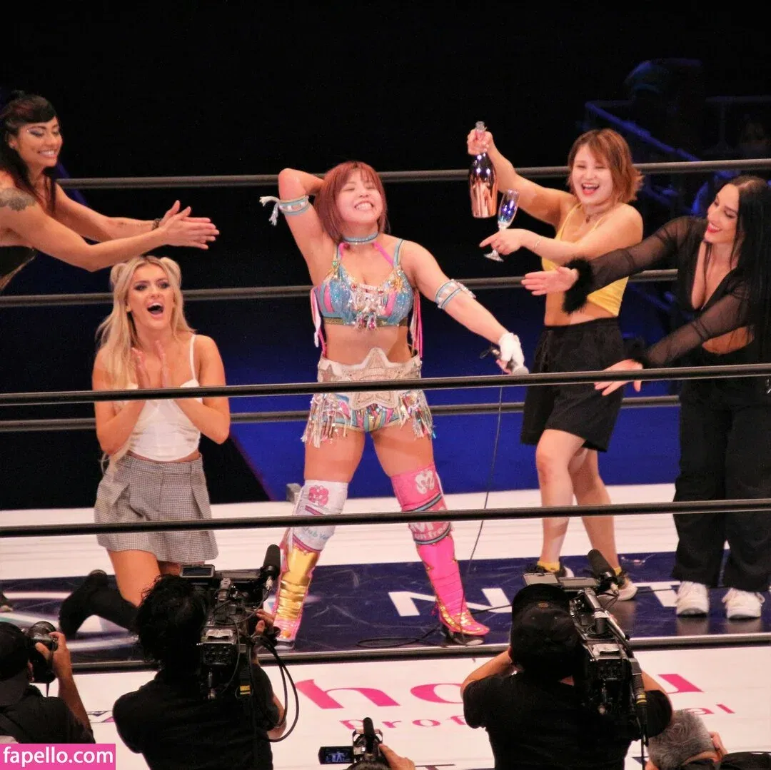 Mina Shirakawa Onlyfans Photo Gallery 