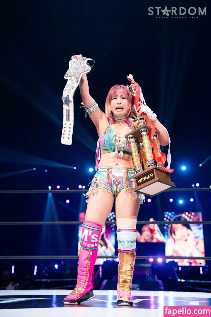 Mina Shirakawa Onlyfans Photo Gallery 