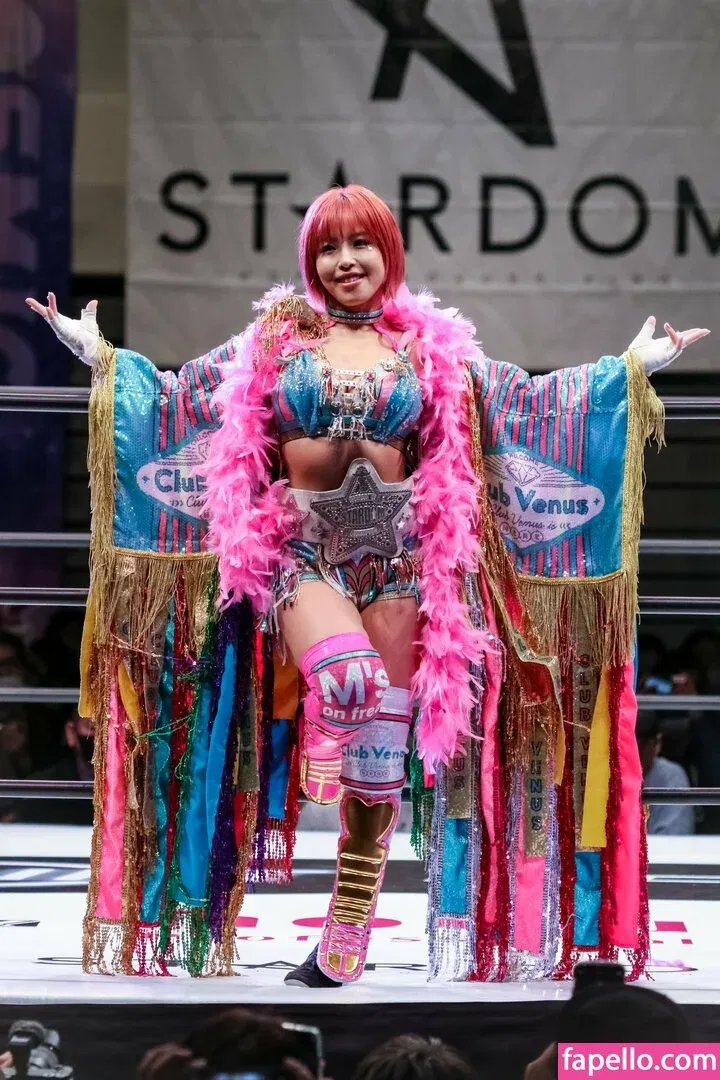 Mina Shirakawa Onlyfans Photo Gallery 