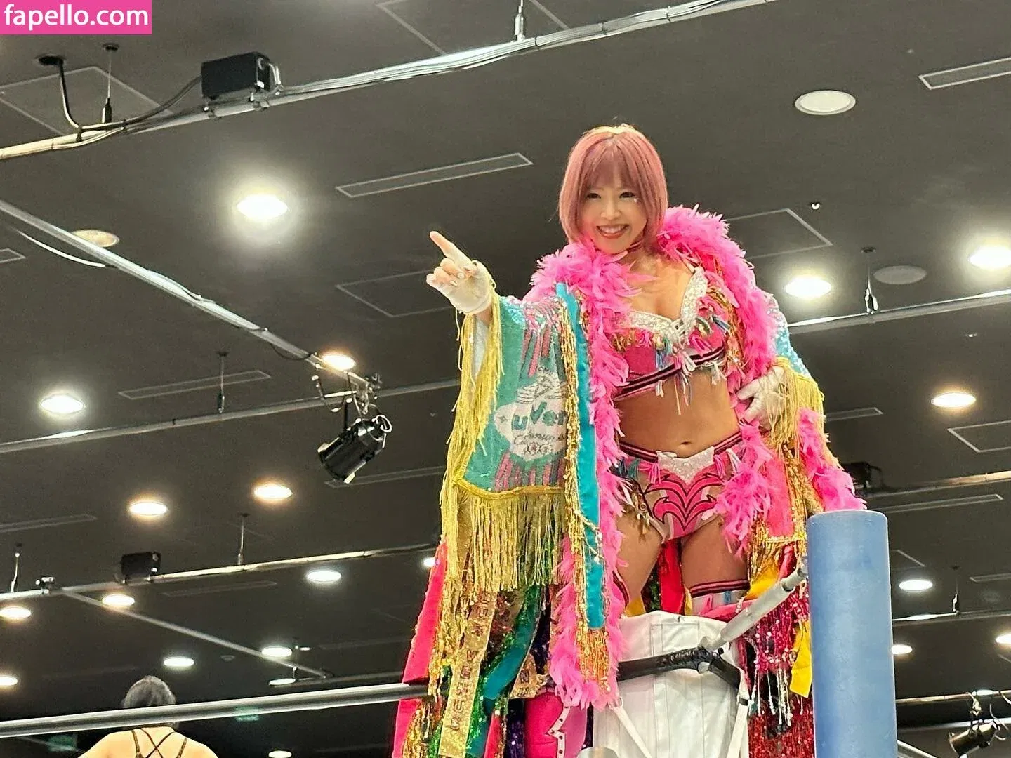 Mina Shirakawa Onlyfans Photo Gallery 