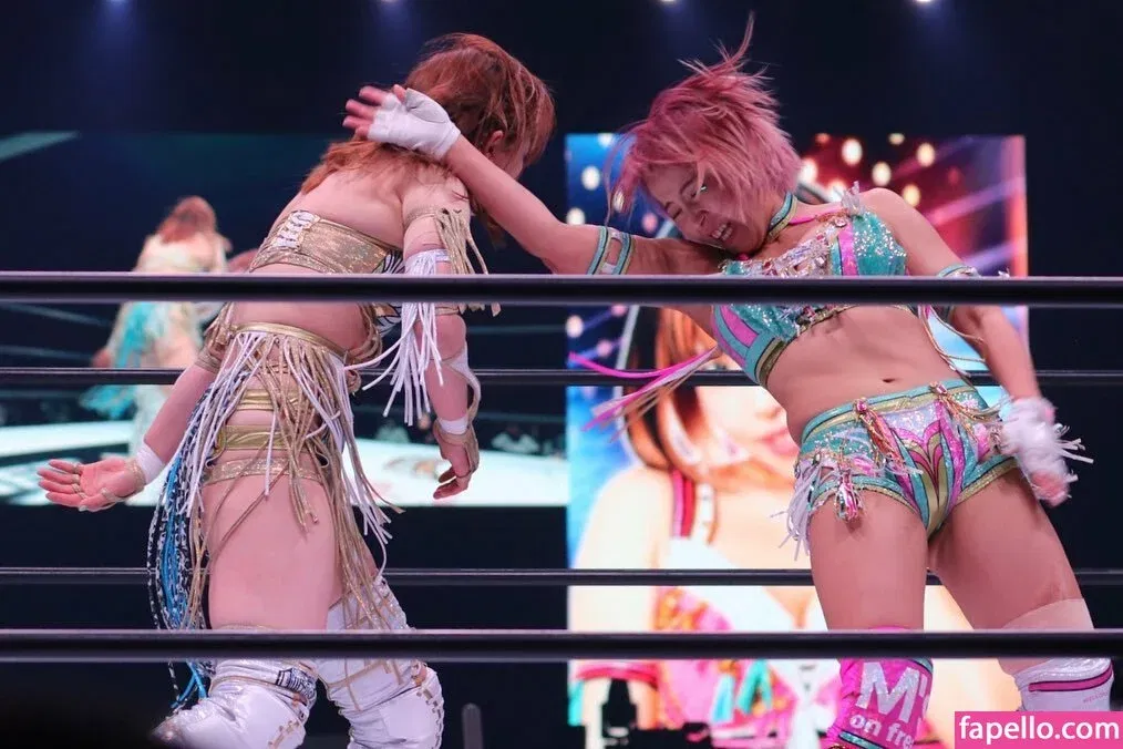 Mina Shirakawa Onlyfans Photo Gallery 