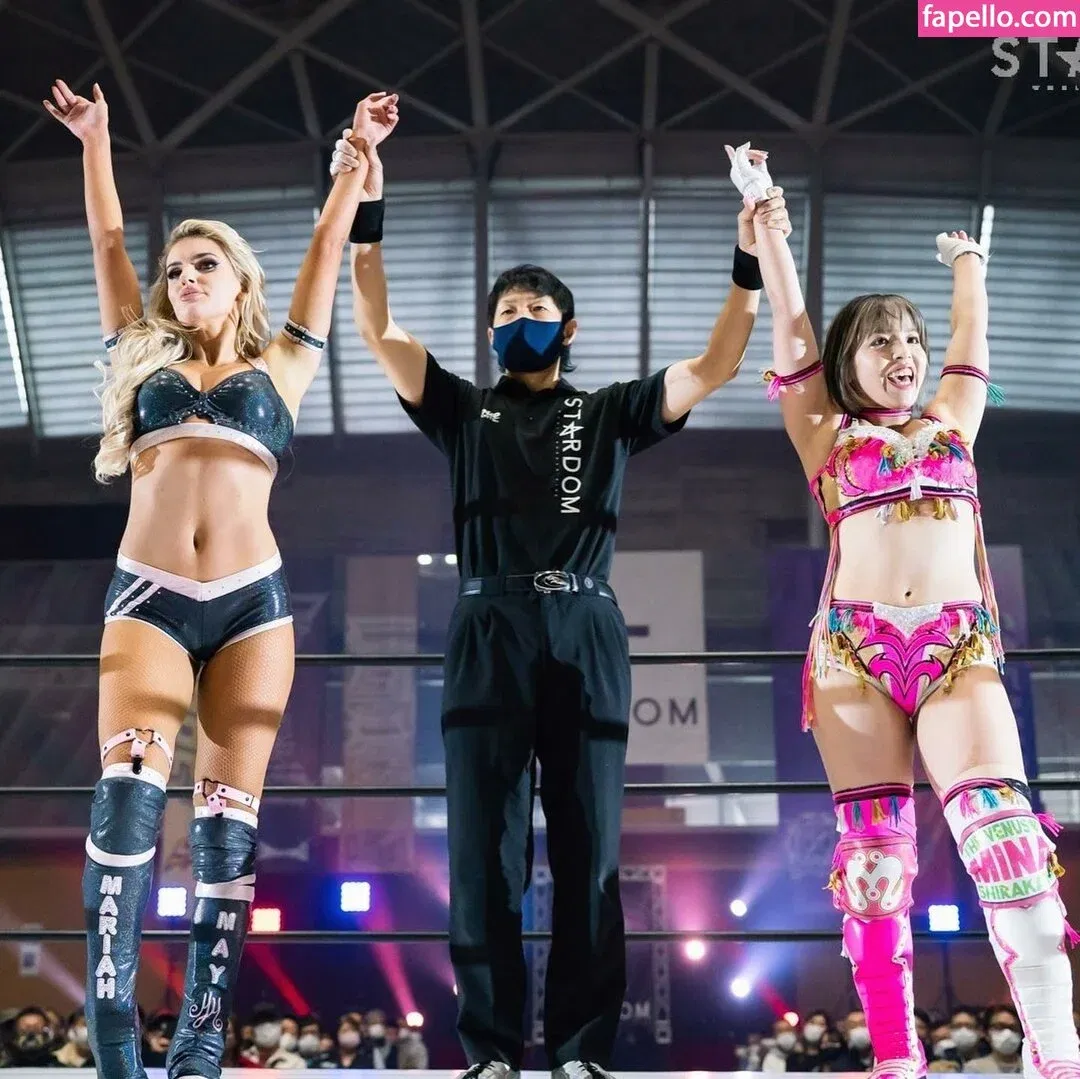 Mina Shirakawa Onlyfans Photo Gallery 