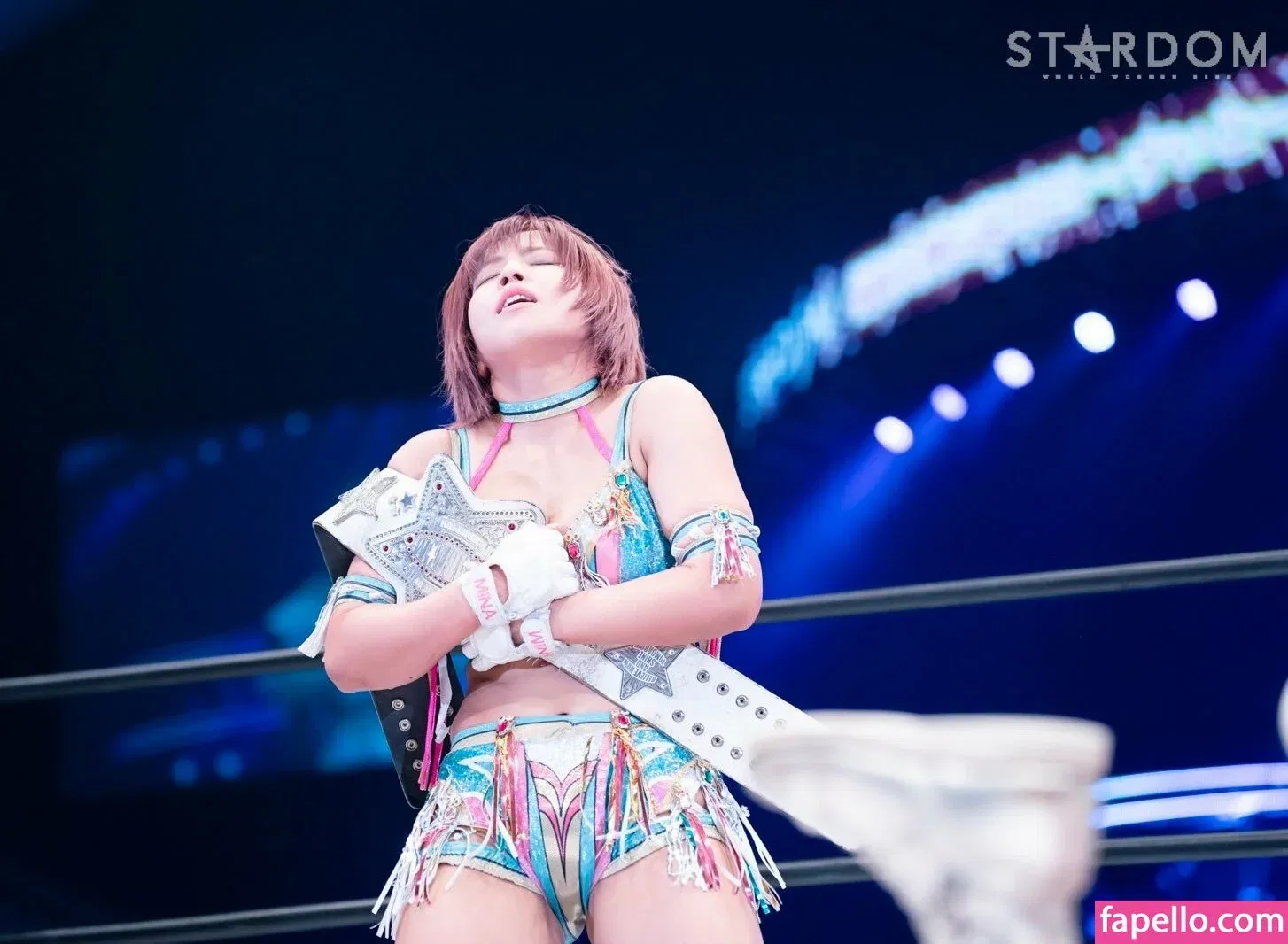 Mina Shirakawa Onlyfans Photo Gallery 