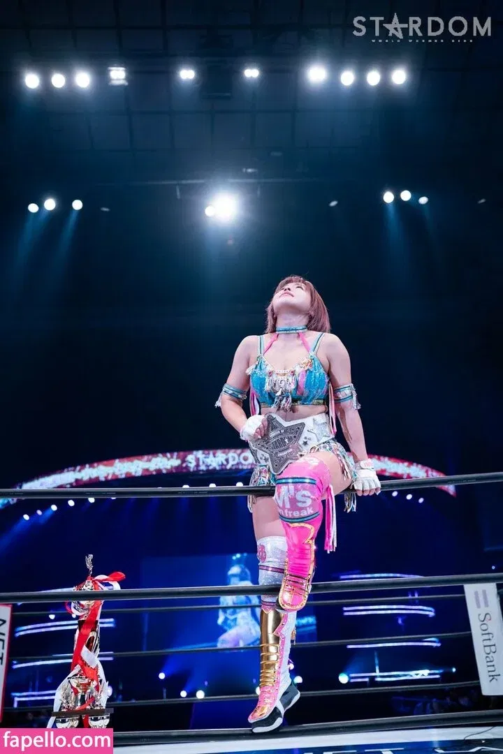 Mina Shirakawa Onlyfans Photo Gallery 