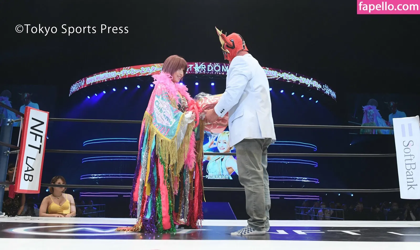 Mina Shirakawa Onlyfans Photo Gallery 