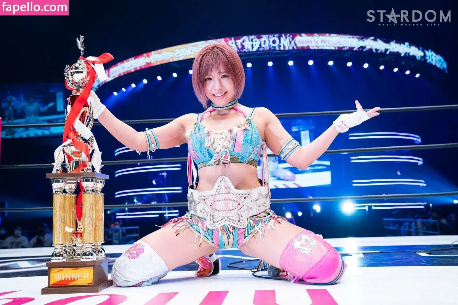 Mina Shirakawa Onlyfans Photo Gallery 