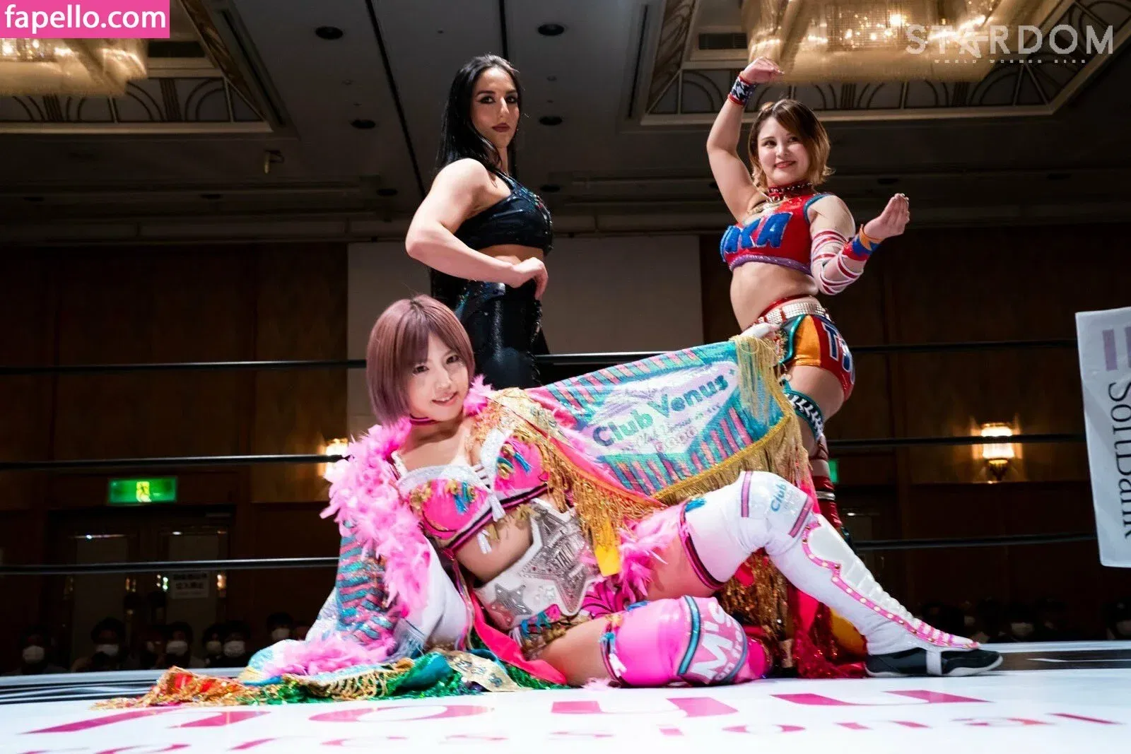 Mina Shirakawa Onlyfans Photo Gallery 