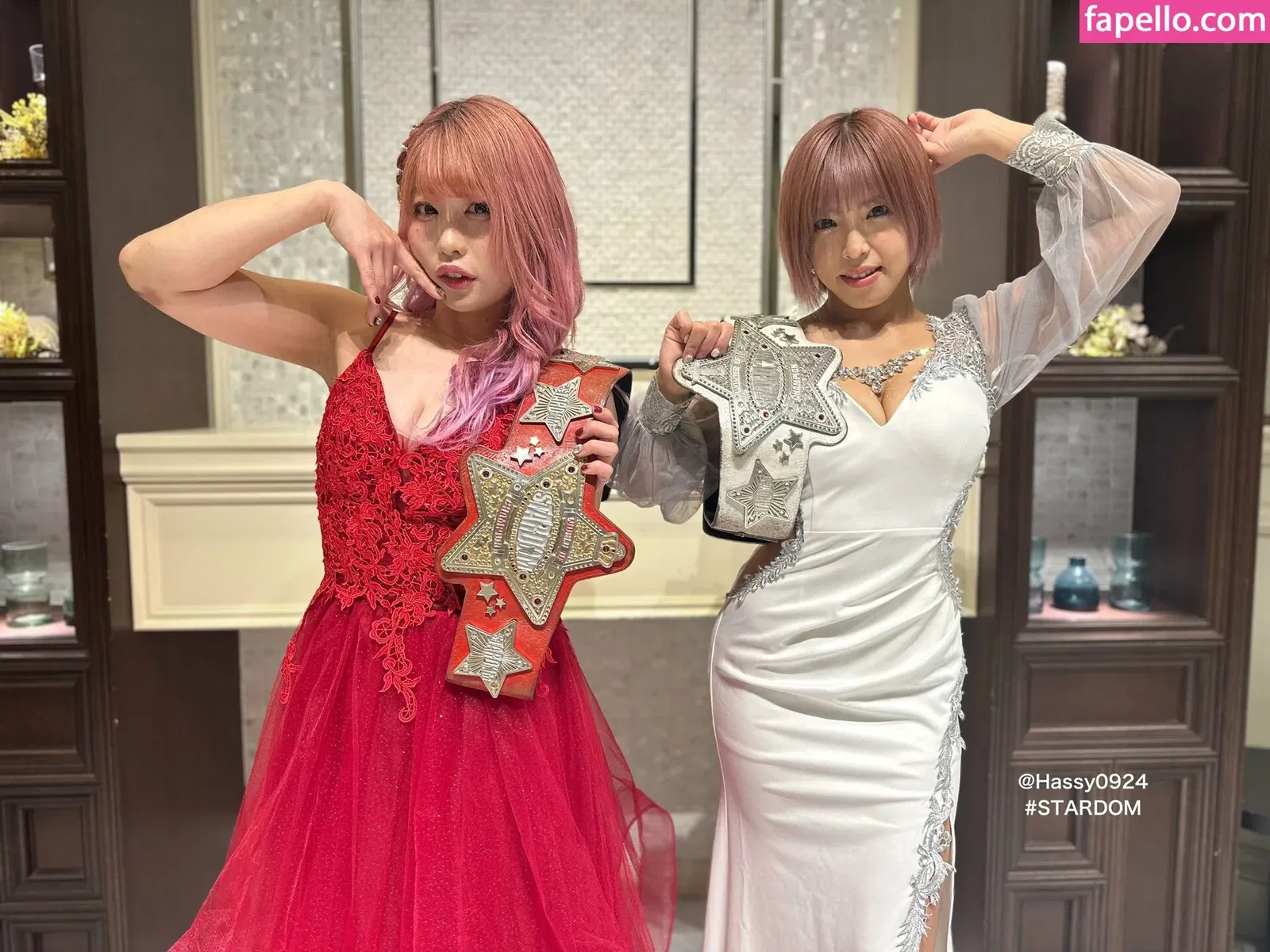 Mina Shirakawa Onlyfans Photo Gallery 