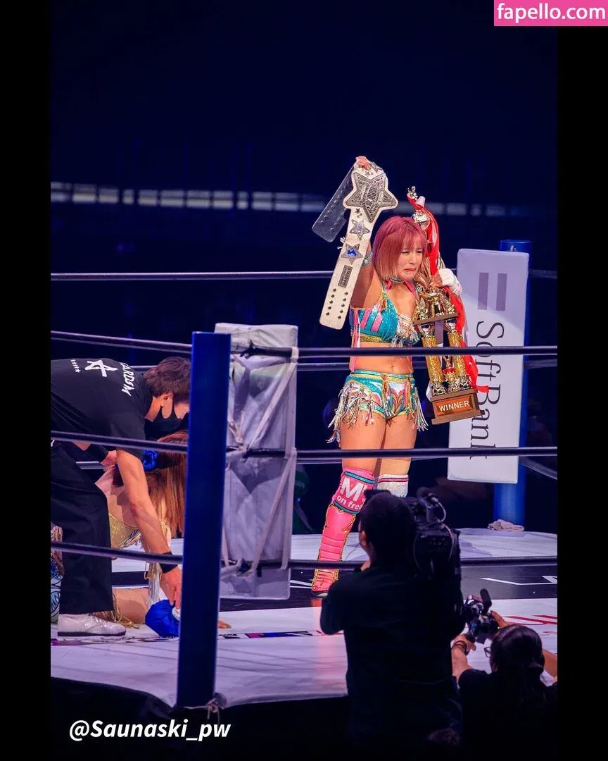 Mina Shirakawa Onlyfans Photo Gallery 