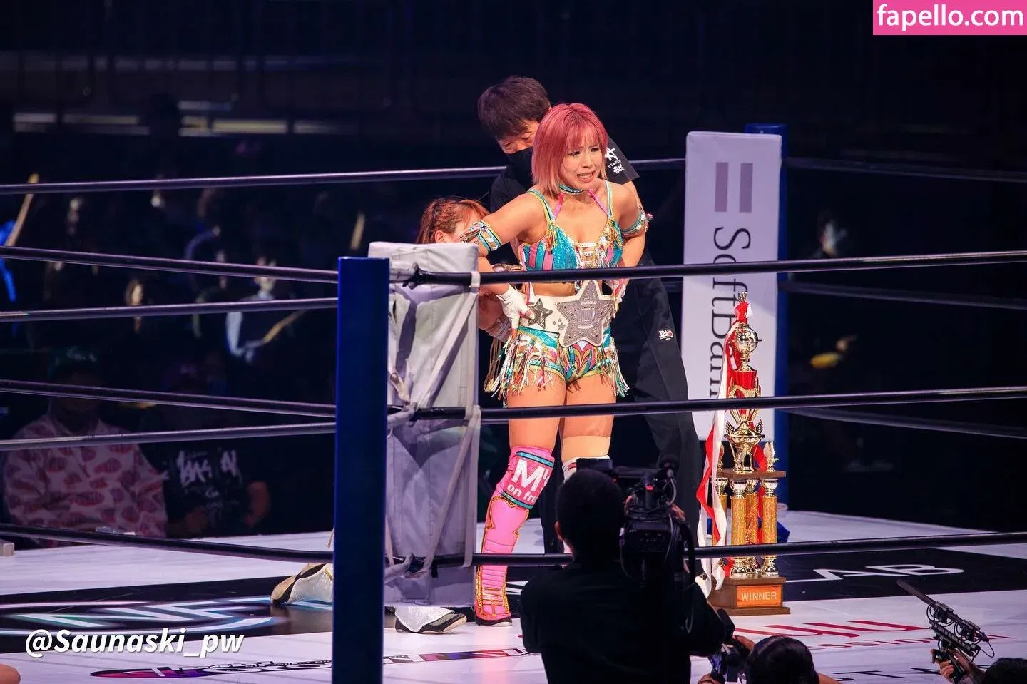 Mina Shirakawa Onlyfans Photo Gallery 