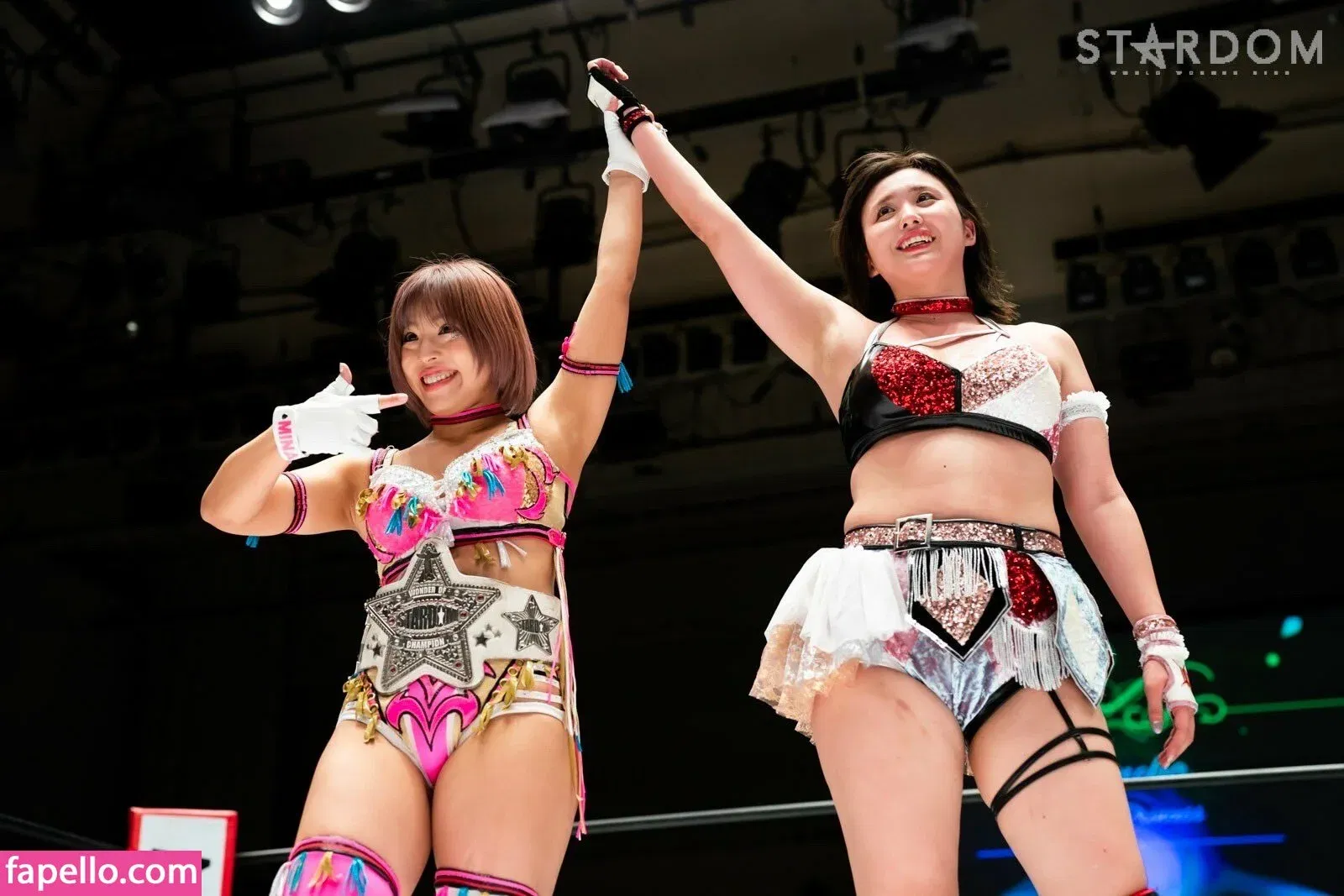 Mina Shirakawa Onlyfans Photo Gallery 