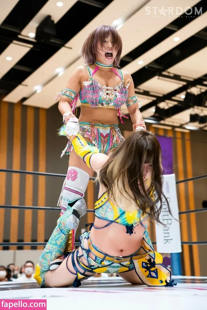 Mina Shirakawa Onlyfans Photo Gallery 