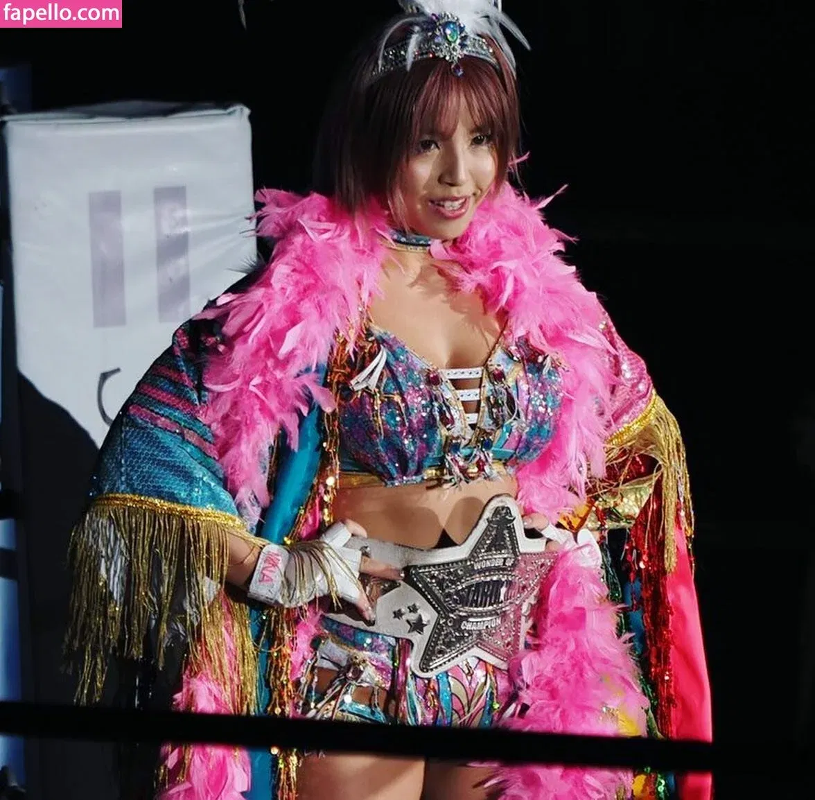 Mina Shirakawa Onlyfans Photo Gallery 