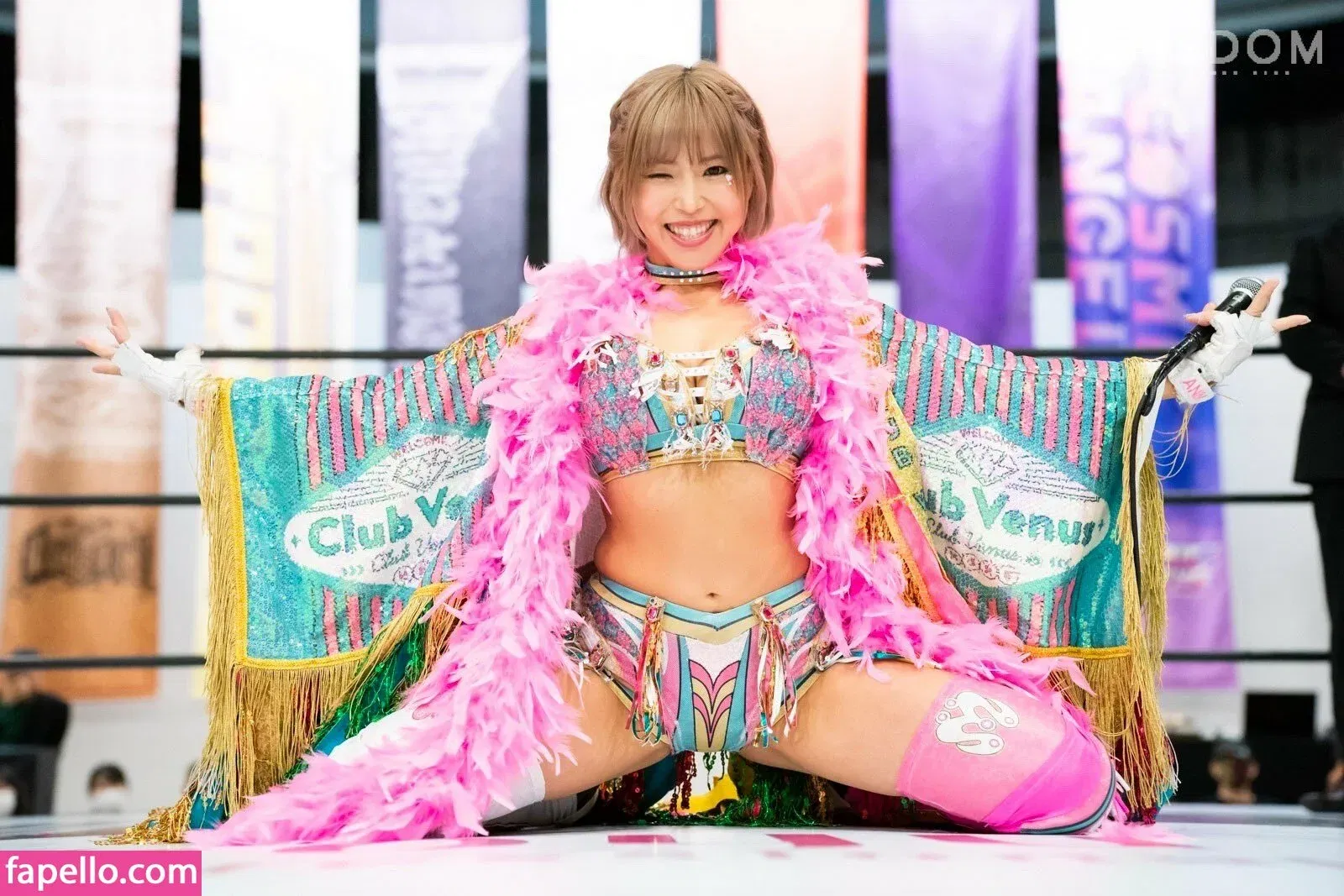 Mina Shirakawa Onlyfans Photo Gallery 