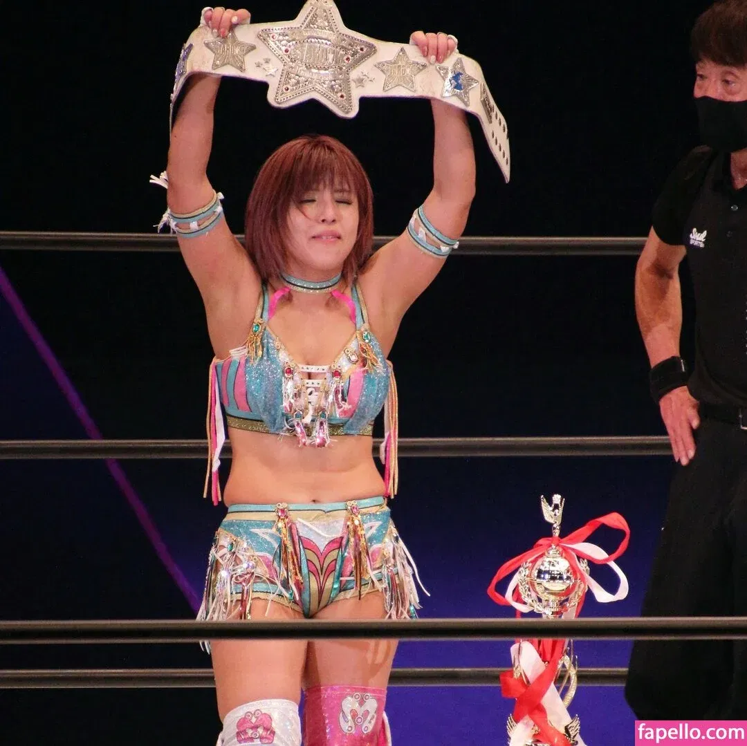 Mina Shirakawa Onlyfans Photo Gallery 