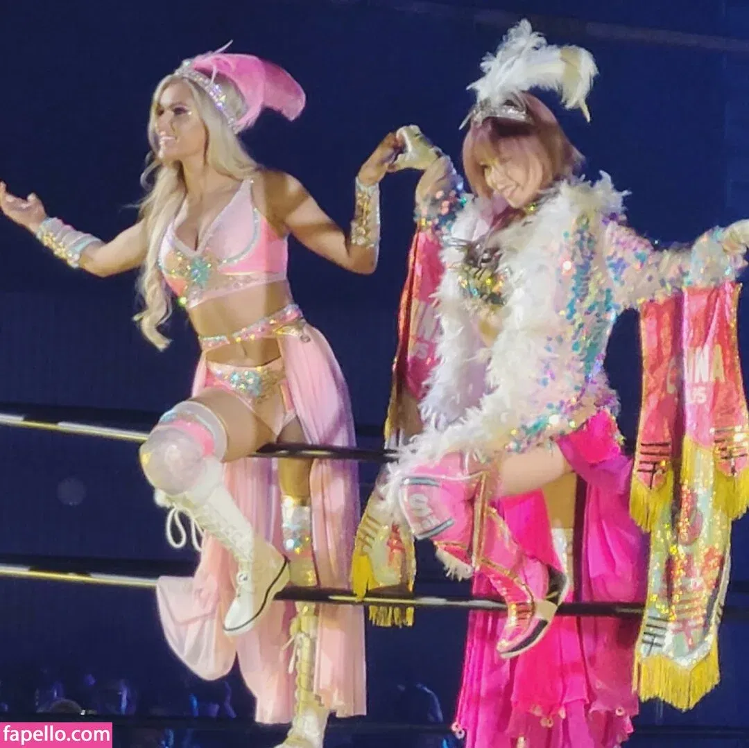 Mina Shirakawa Onlyfans Photo Gallery 