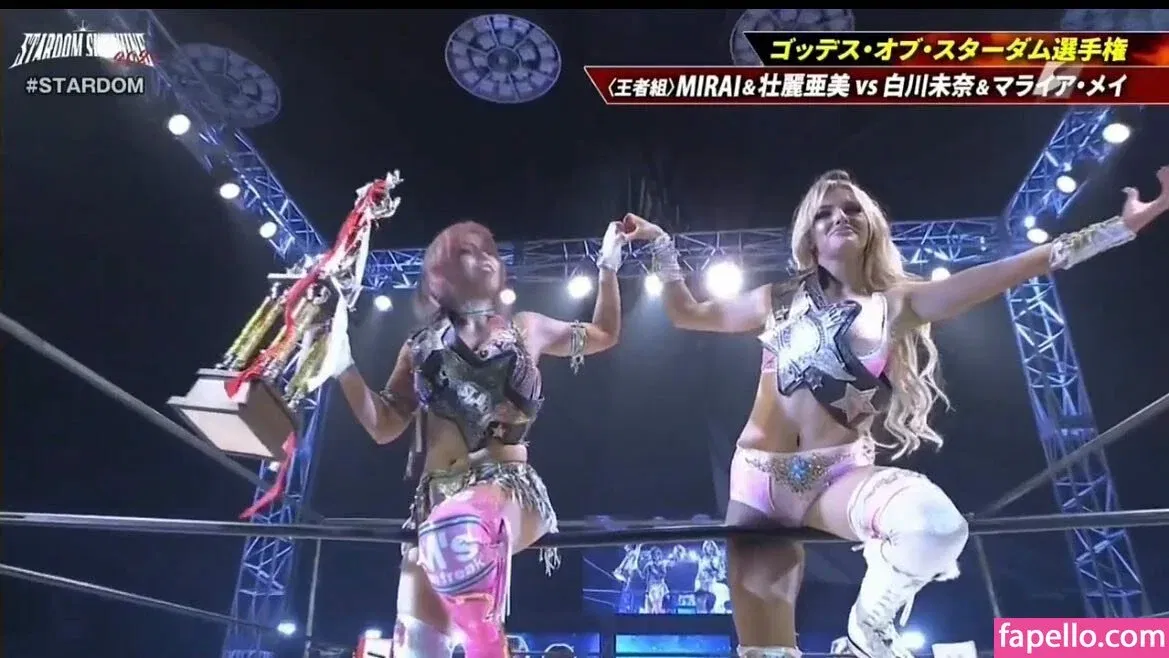 Mina Shirakawa Onlyfans Photo Gallery 