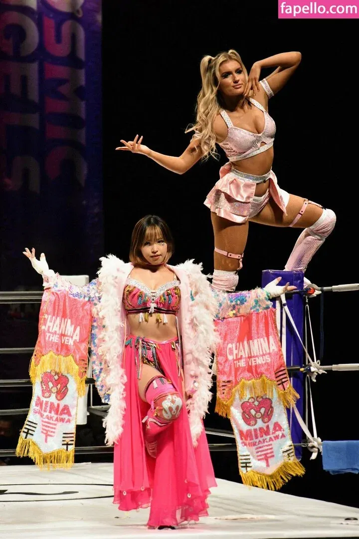 Mina Shirakawa Onlyfans Photo Gallery 