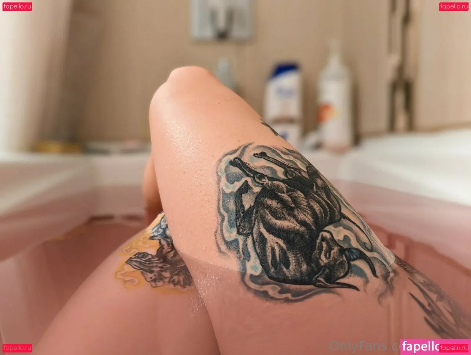 zoadgo Onlyfans Photo Gallery 