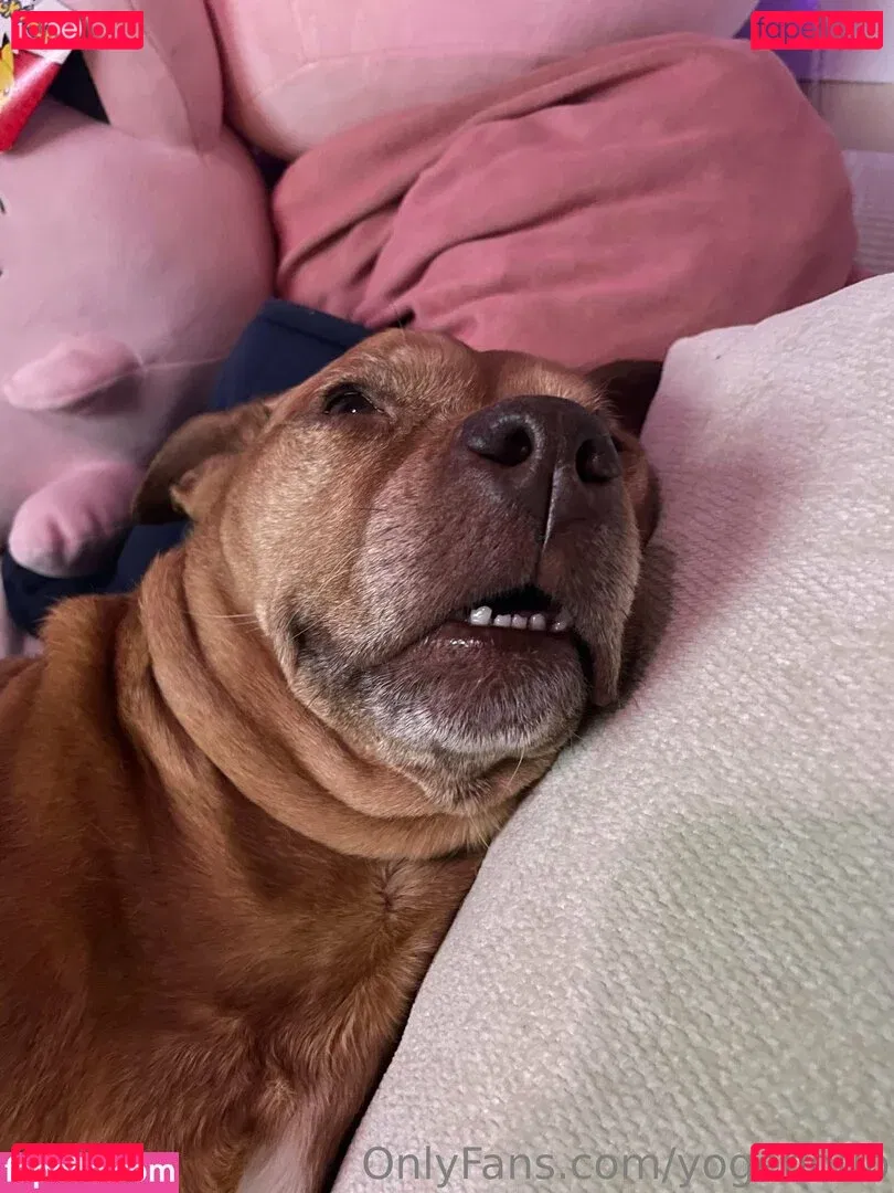 yogendub Onlyfans Photo Gallery 