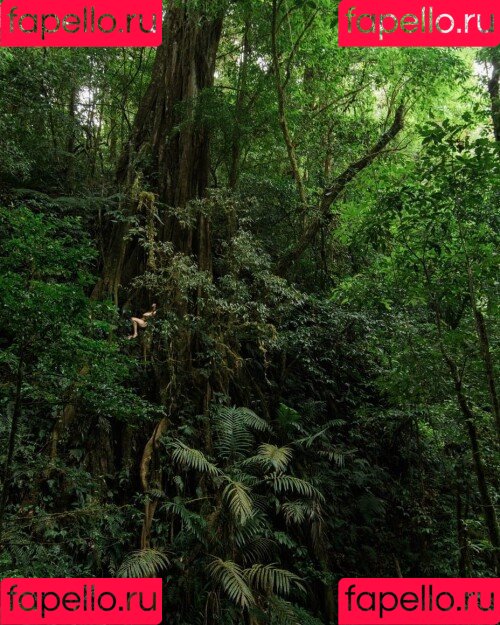 Shibari Eclissis Onlyfans Photo Gallery 