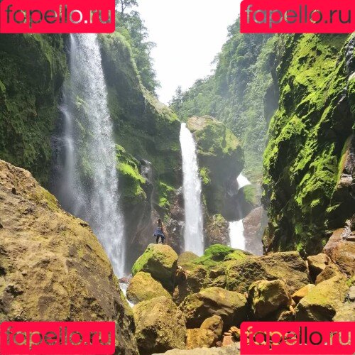 Shibari Eclissis Onlyfans Photo Gallery 