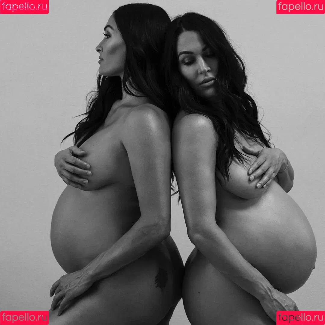 Brie Bella Onlyfans Photo Gallery 
