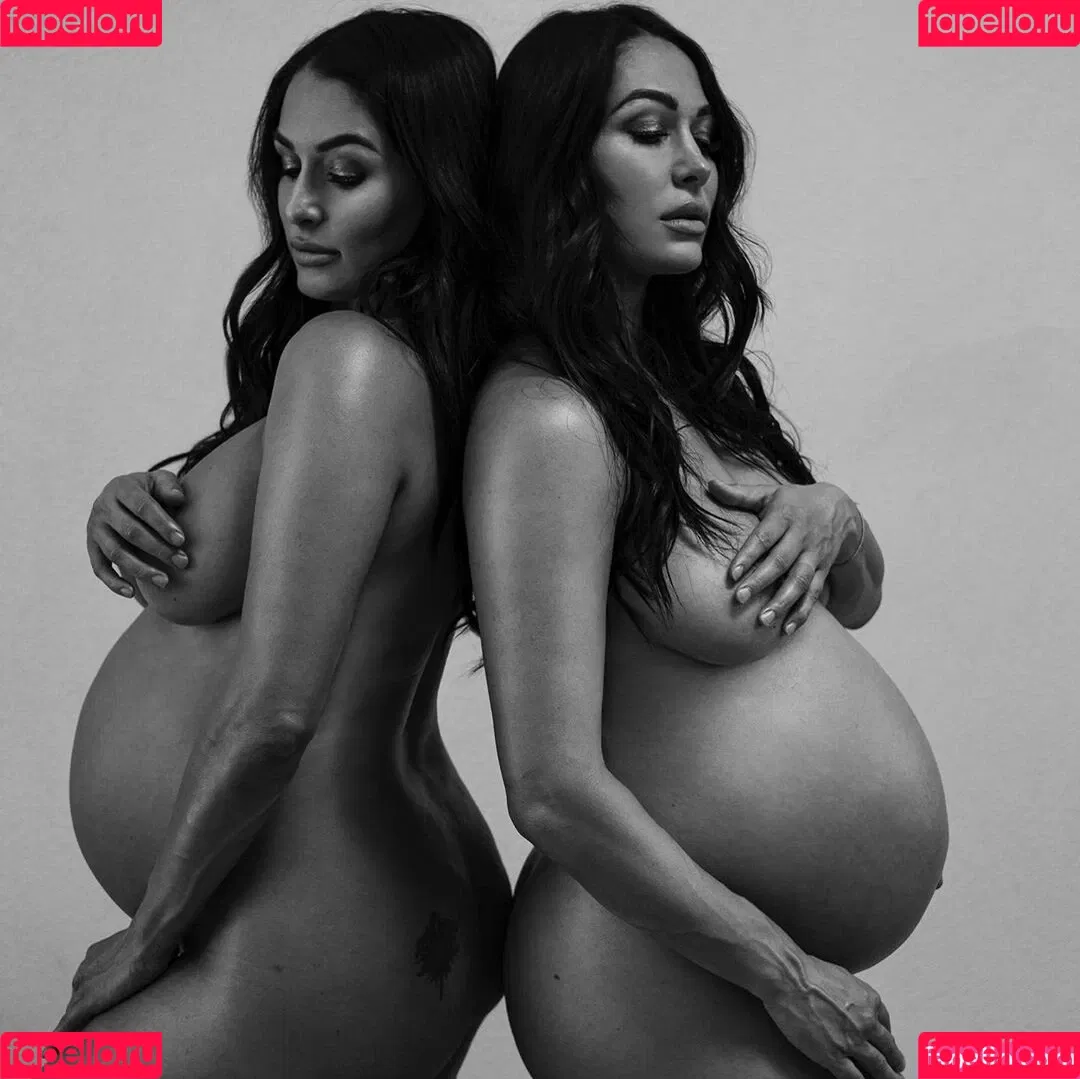 Brie Bella Onlyfans Photo Gallery 