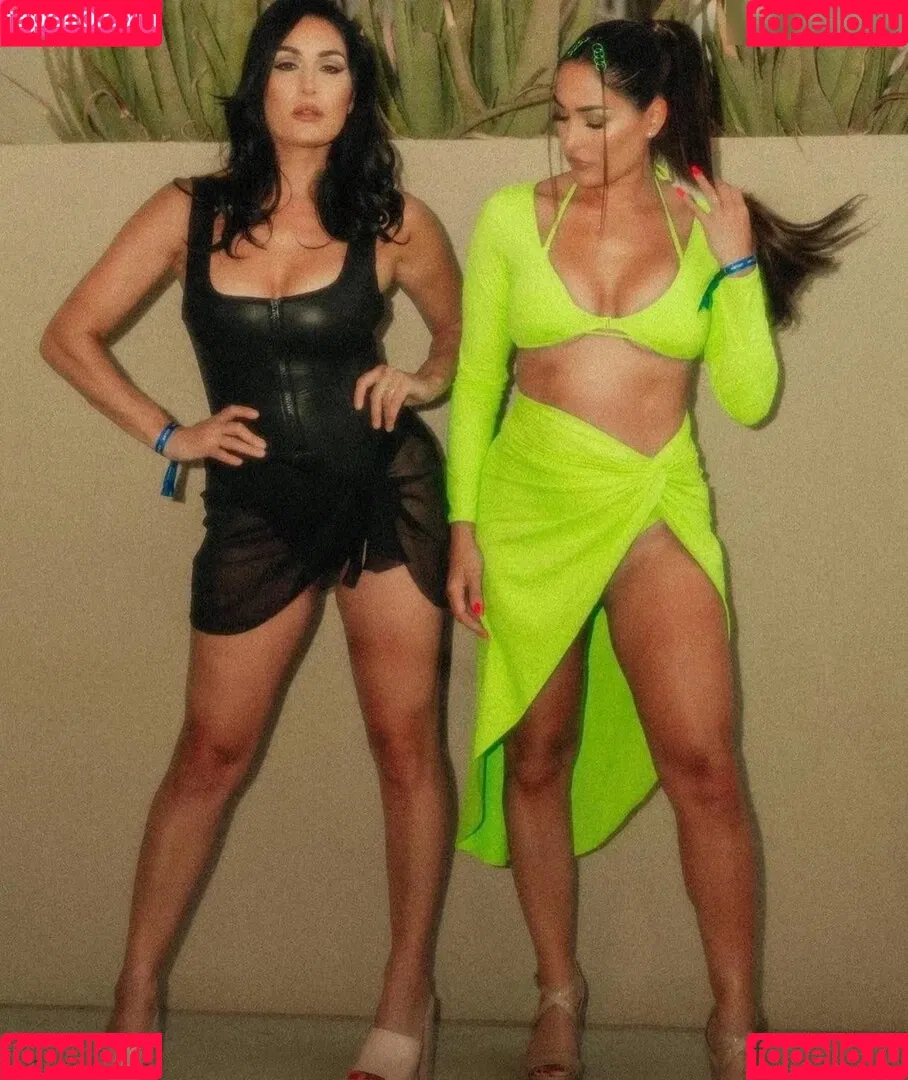 Brie Bella Onlyfans Photo Gallery 