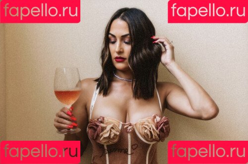 Brie Bella Onlyfans Photo Gallery 