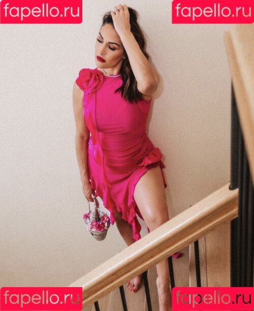 Brie Bella Onlyfans Photo Gallery 
