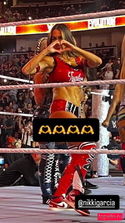 Brie Bella Nude Onlyfans Photo 51