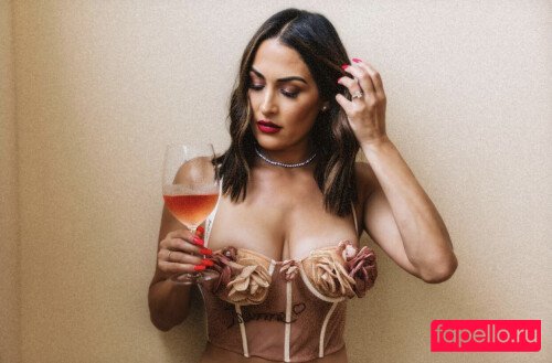 Brie Bella Nude Onlyfans Photo 45