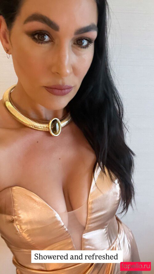 Brie Bella Nude Onlyfans Photo 43