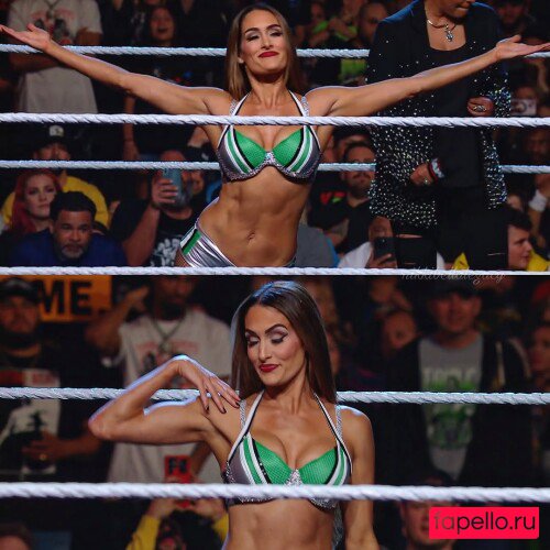 Brie Bella Nude Onlyfans Photo 34