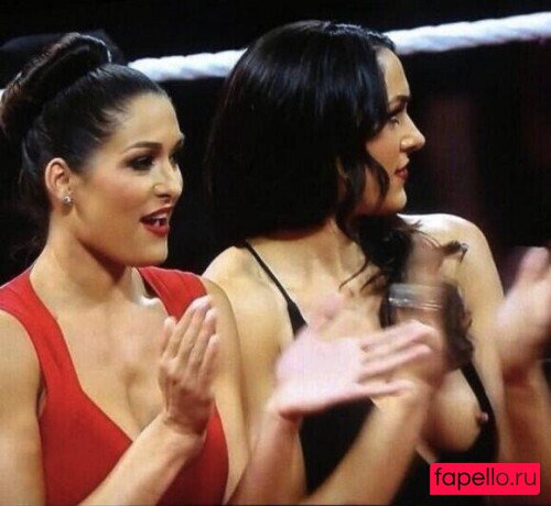 Brie Bella Nude Onlyfans Photo 3