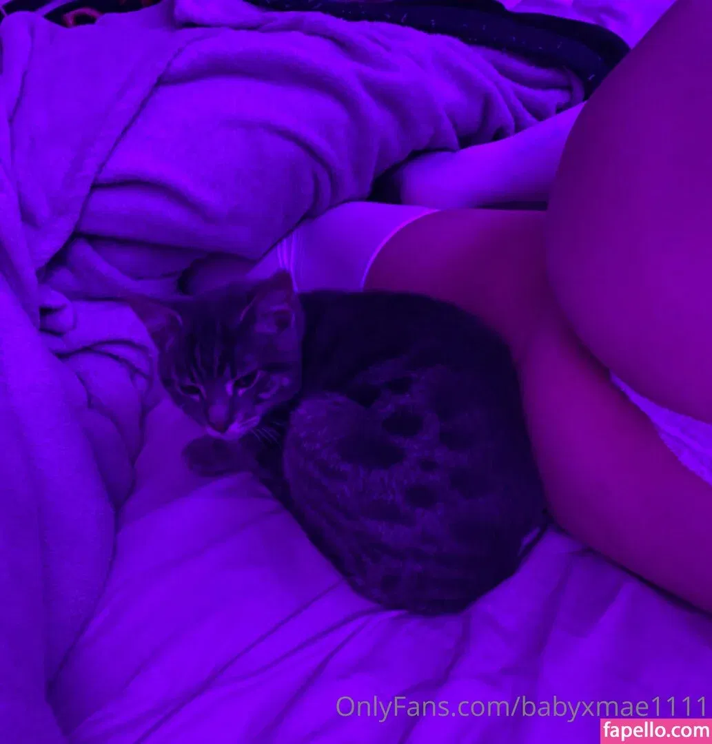 babyxmae1111 Onlyfans Photo Gallery 