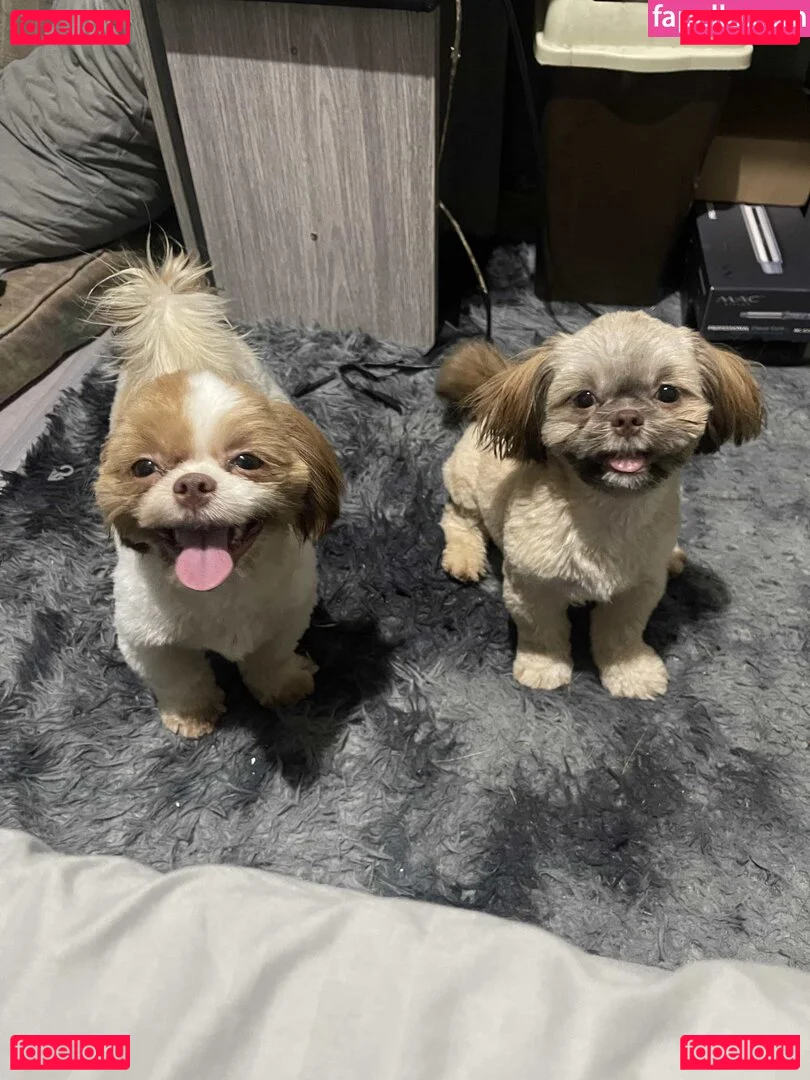 Kyla Yung Onlyfans Photo Gallery 