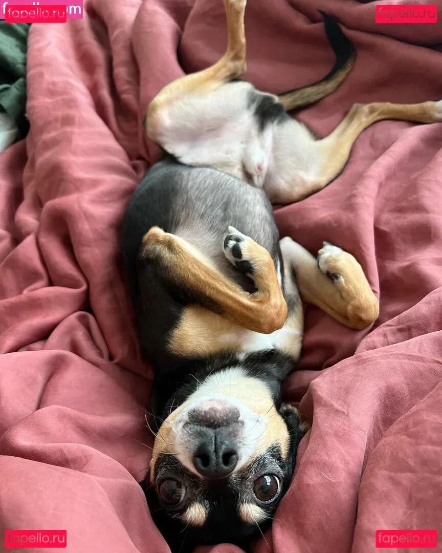 Suki Jade Onlyfans Photo Gallery 