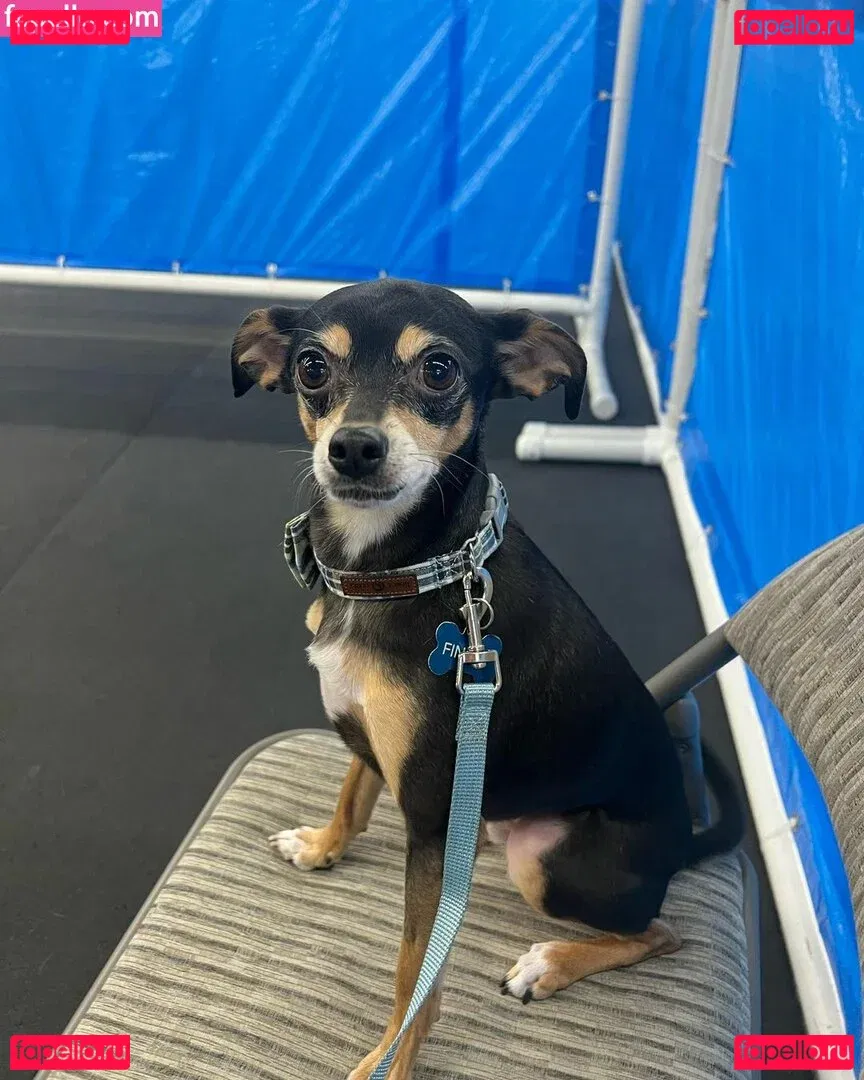 Suki Jade Onlyfans Photo Gallery 