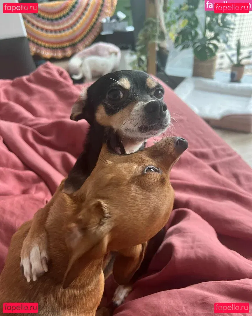 Suki Jade Onlyfans Photo Gallery 