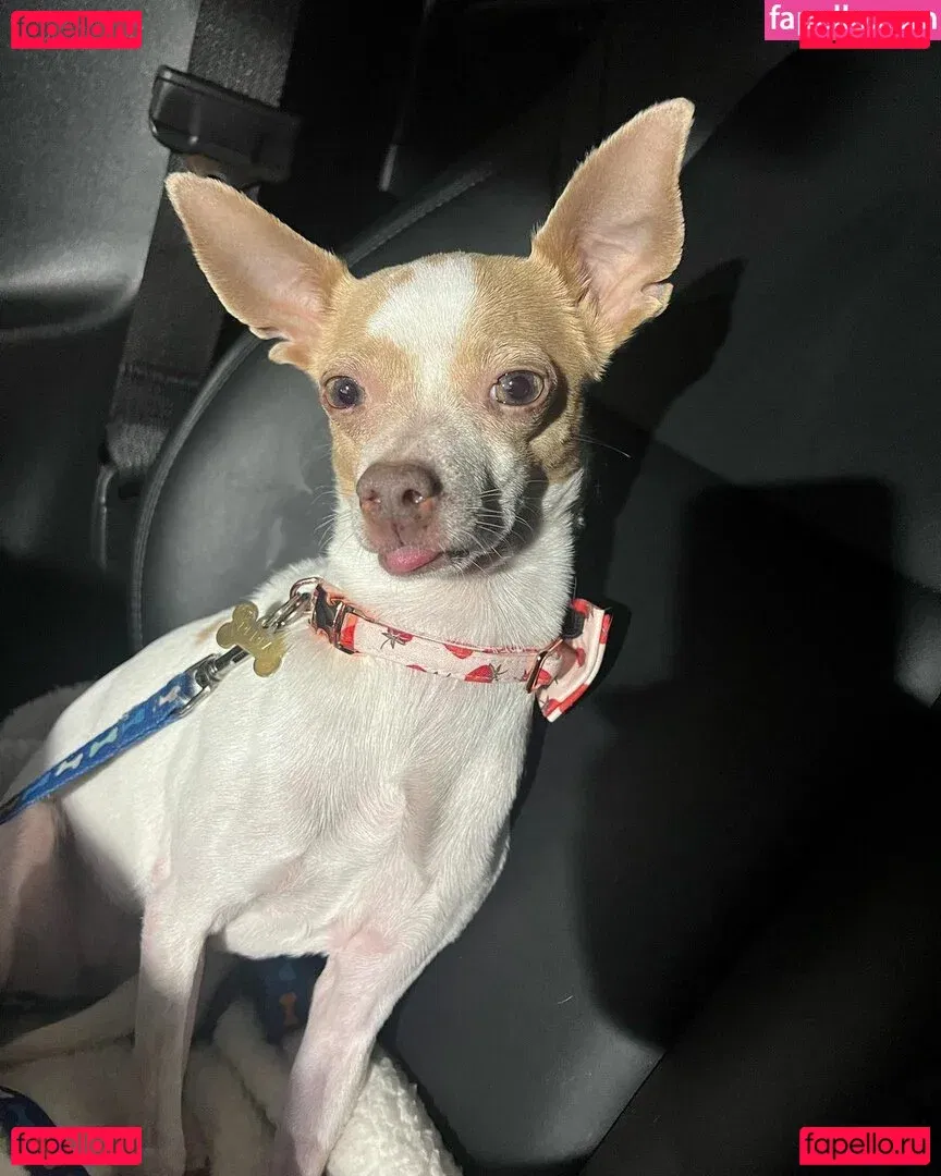 Suki Jade Onlyfans Photo Gallery 